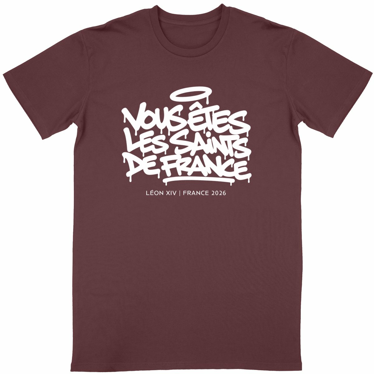 Léon XIV : "Vous êtes les saints de France" - face_bordeaux
