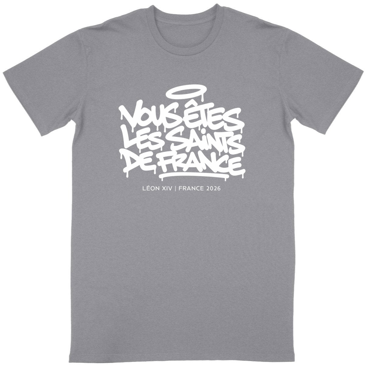 Léon XIV : "Vous êtes les saints de France" - face_gris