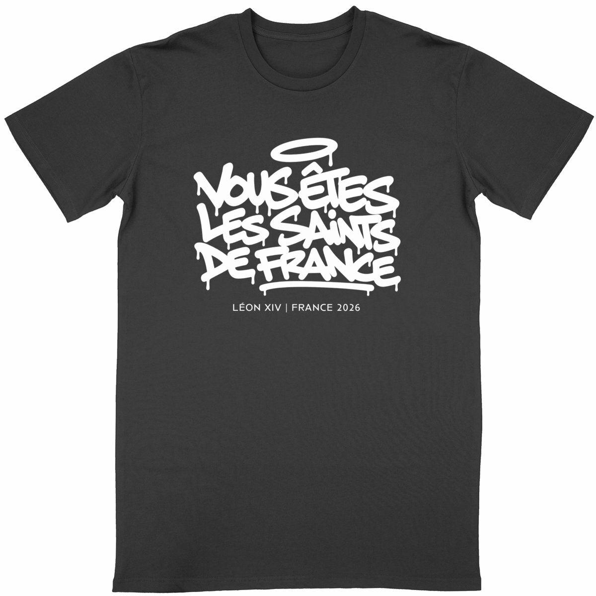 Léon XIV : "Vous êtes les saints de France" - face_noir